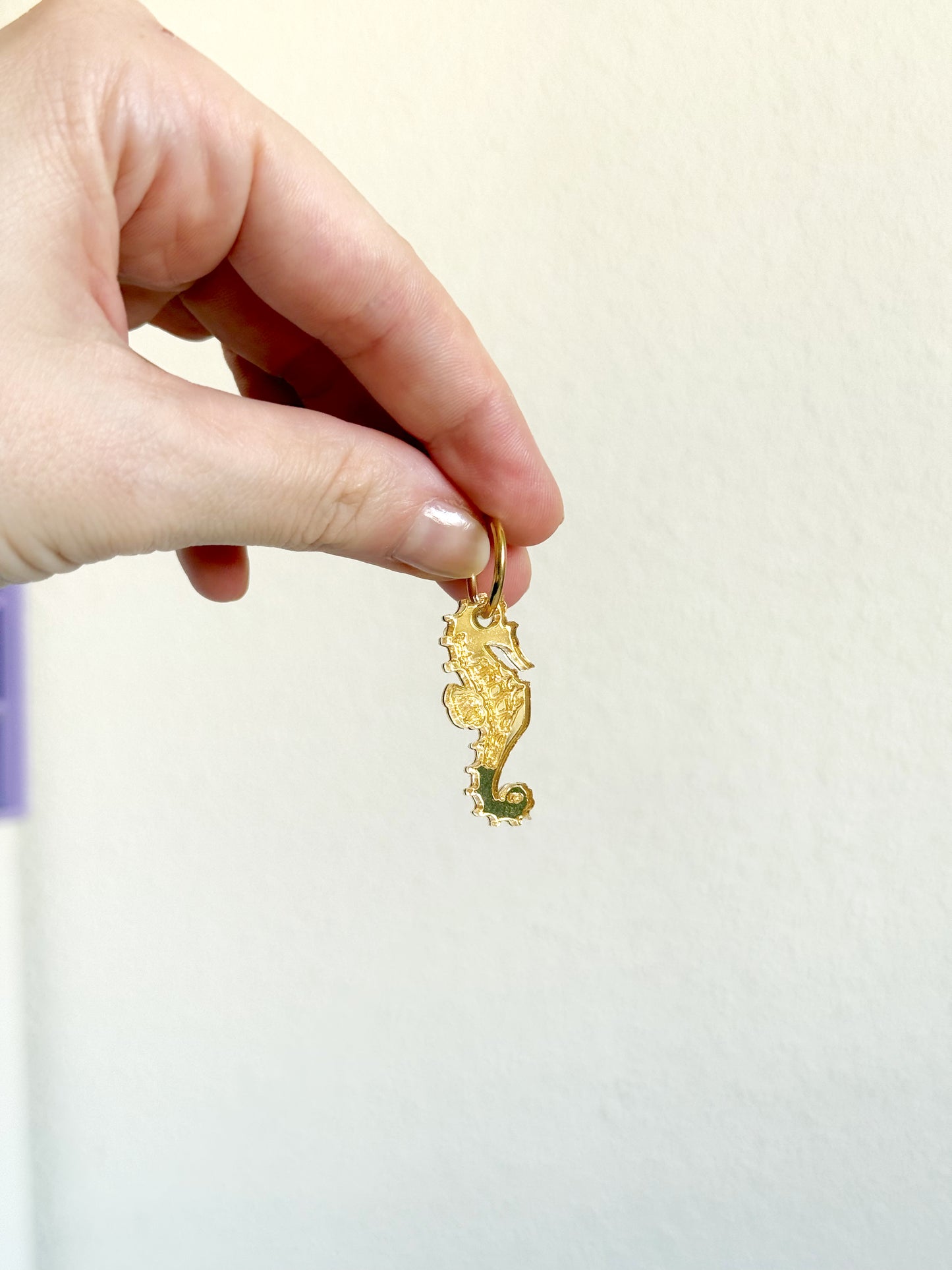 CABALLITO
