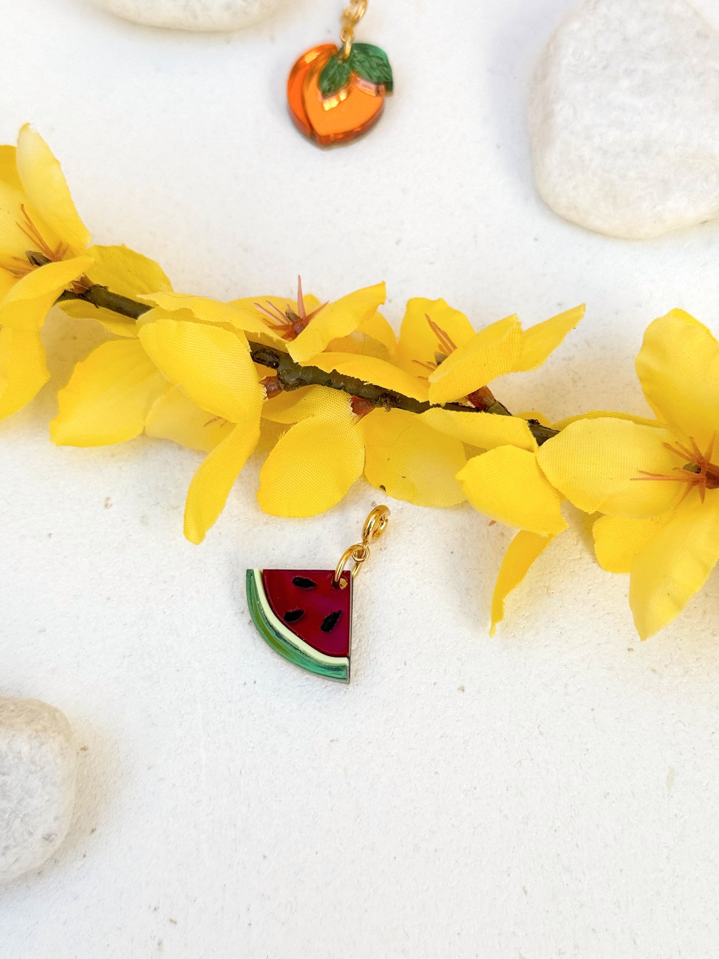 CHARMS PRIMAVERA '25