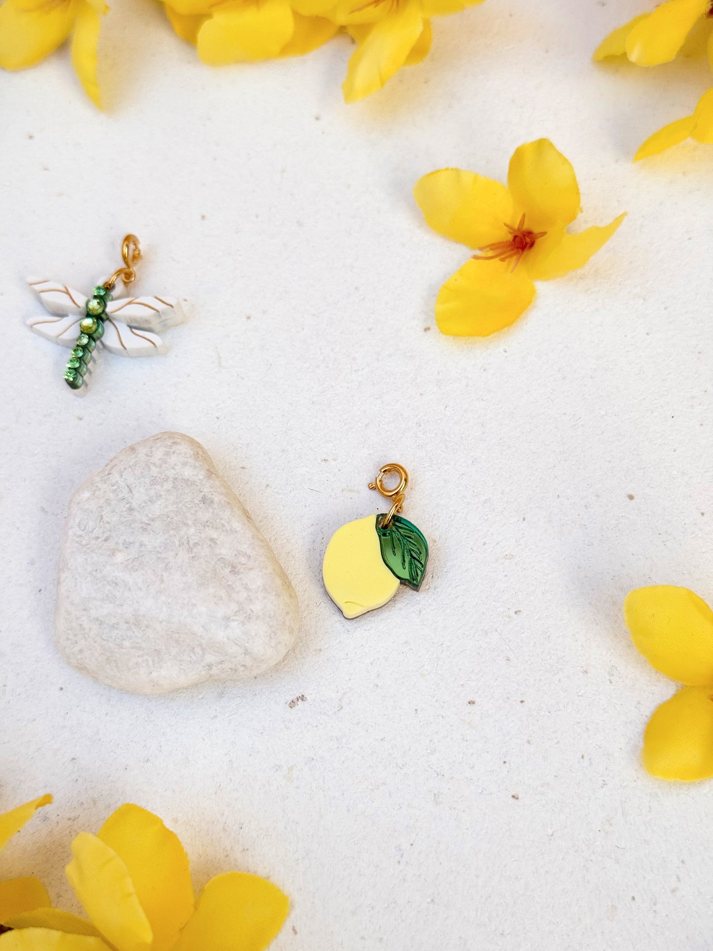 CHARMS PRIMAVERA '25