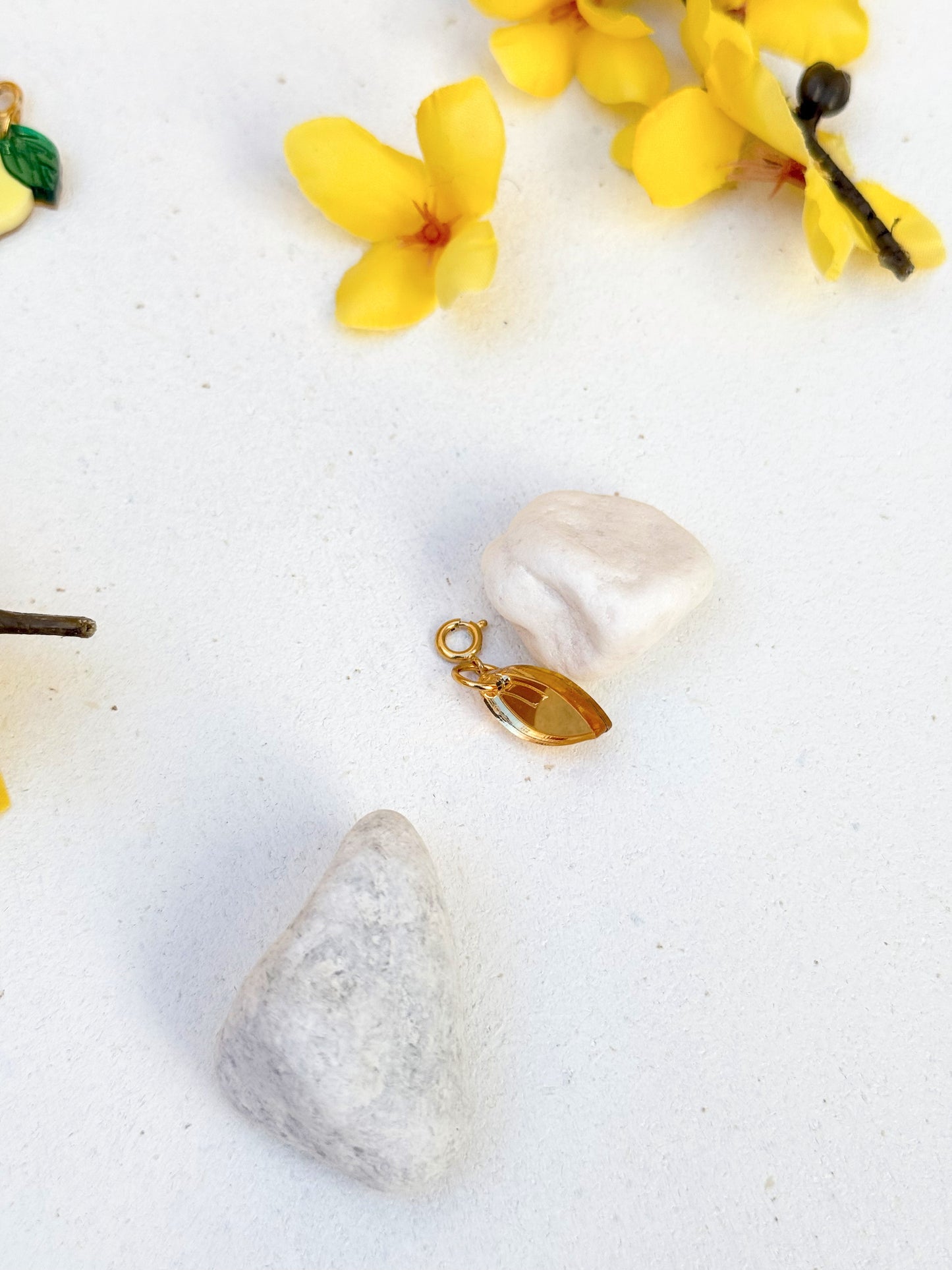 CHARMS PRIMAVERA '25