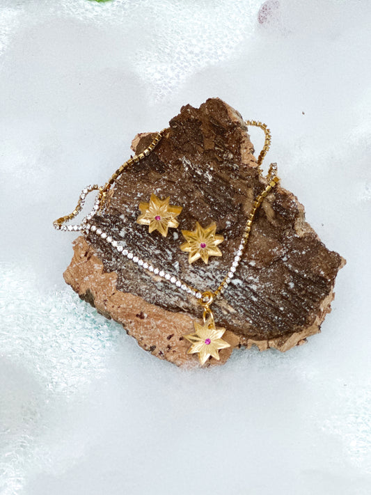 CHARM ESTRELLA (ROSA)