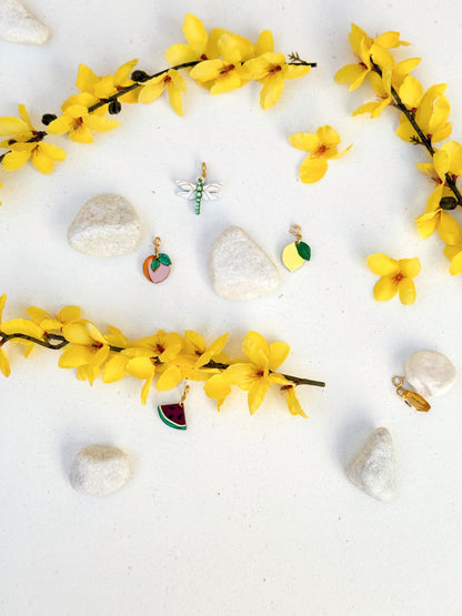 CHARMS PRIMAVERA '25